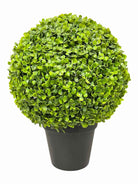 GRN/BLK plastic planter with small leaves ball, 18"H x 16"W, potted plant for in-store pickup